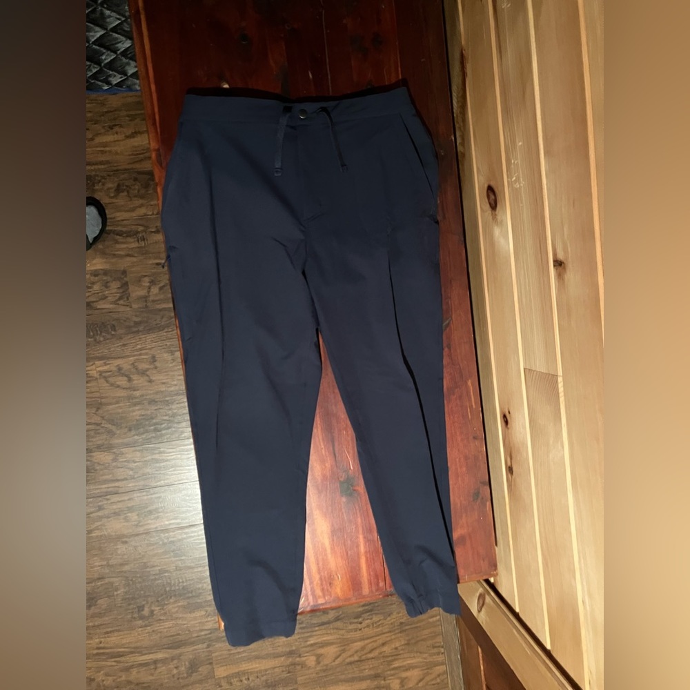 Mens Patagonia Skyline Traveler Pants Size- Large